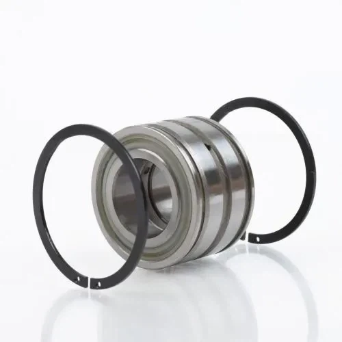 INA SL04200-D-PP - Full Complement Cylindrical Roller Bearing