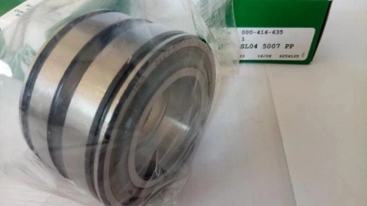 SL04 5007 PP bearing